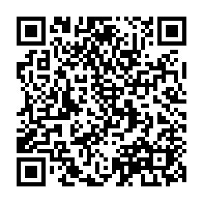 10月24日上午赵刚老师第三节