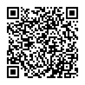 家庭教育指导者的业务素养