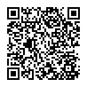 第一讲：赵刚教授谈家庭教育立法过程以及《中华人民共和国家庭教育促进法》