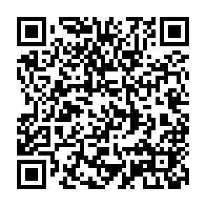 第二讲：赵刚教授谈家庭的功能以及好的家教家风对一个民族的深远影响