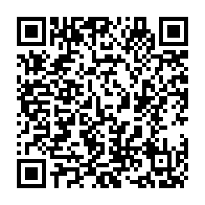 家庭教育指导要以生活教育为本