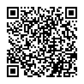 《全国家庭教育指导大纲》解读：指导原则和编写特点