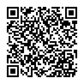 《全国家庭教育指导大纲》解读：关注儿童成长中的重要事件