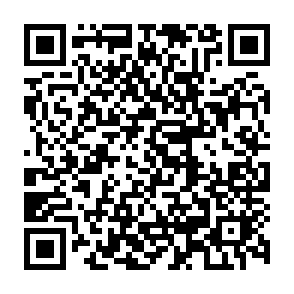 《全国家庭教育指导大纲》解读：八大核心理念（一）