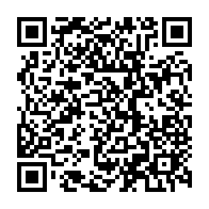 《全国家庭教育指导大纲》解读：八个核心理念（二）