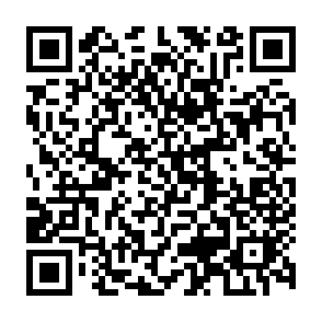 《全国家庭教育指导大纲》解读：八个核心理念（四）