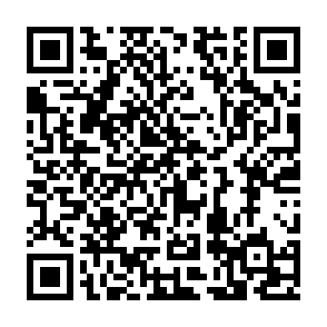 第五讲：赵刚教授：家长教育是现代教育体系不可或缺的一环