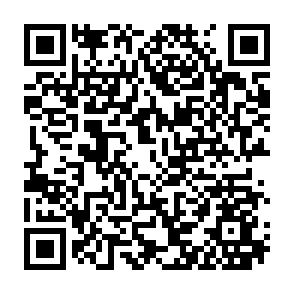 第六讲：赵刚教授谈家庭教育的内容以及家庭教育指导方式