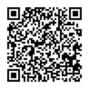 第八讲：赵刚教授：变革时代的家庭教育之道